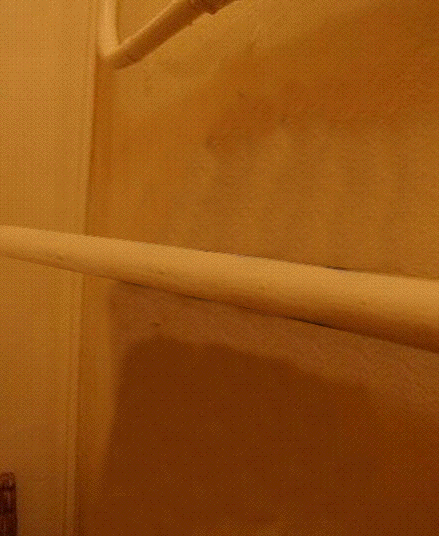 Sliding Cat
